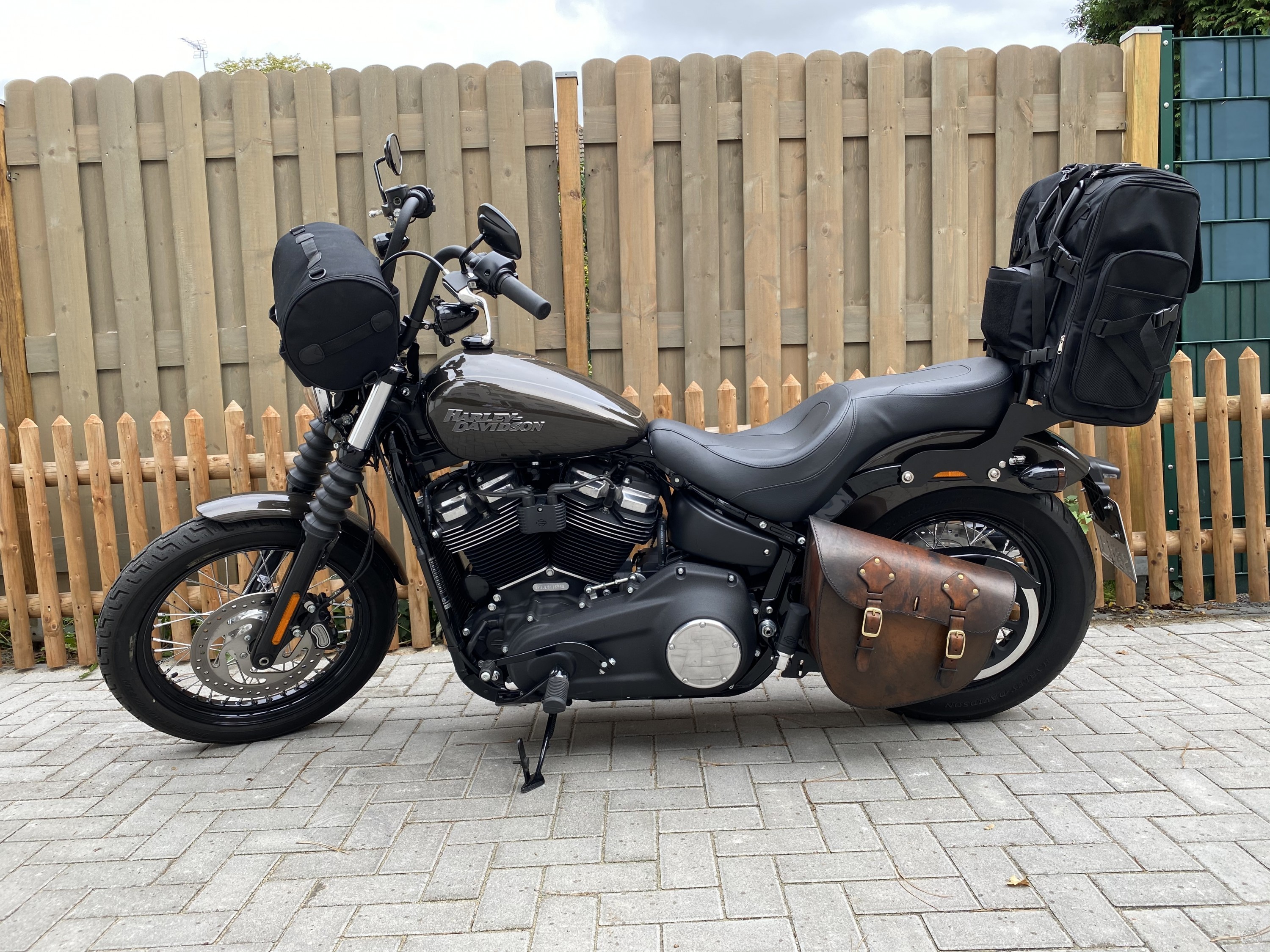 Bereit zu neuen Abenteuern Street Bob Forum & Dyna Community